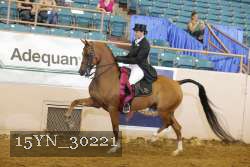 15YN_30221 thumbnail