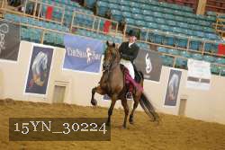 15YN_30224 thumbnail