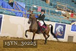 15YN_30225 thumbnail