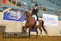 15YN_30228 thumbnail