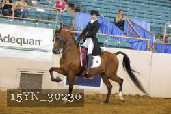 15YN_30230 thumbnail