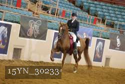 15YN_30233 thumbnail
