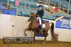 15YN_30236 thumbnail