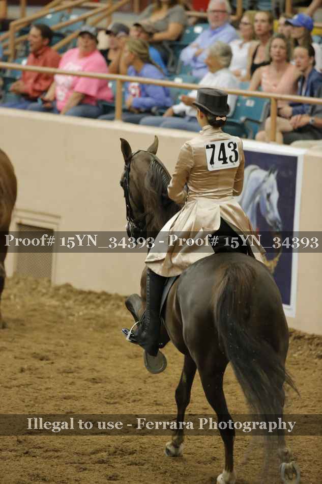 Proof Number 15YN_34393