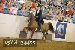 15YN_34400 thumbnail