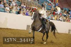 15YN_34412 thumbnail