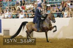 15YN_34487 thumbnail
