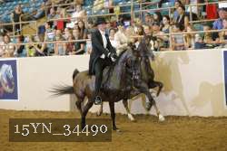 15YN_34490 thumbnail