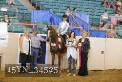 15YN_34525 thumbnail