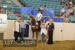 15YN_34526 thumbnail