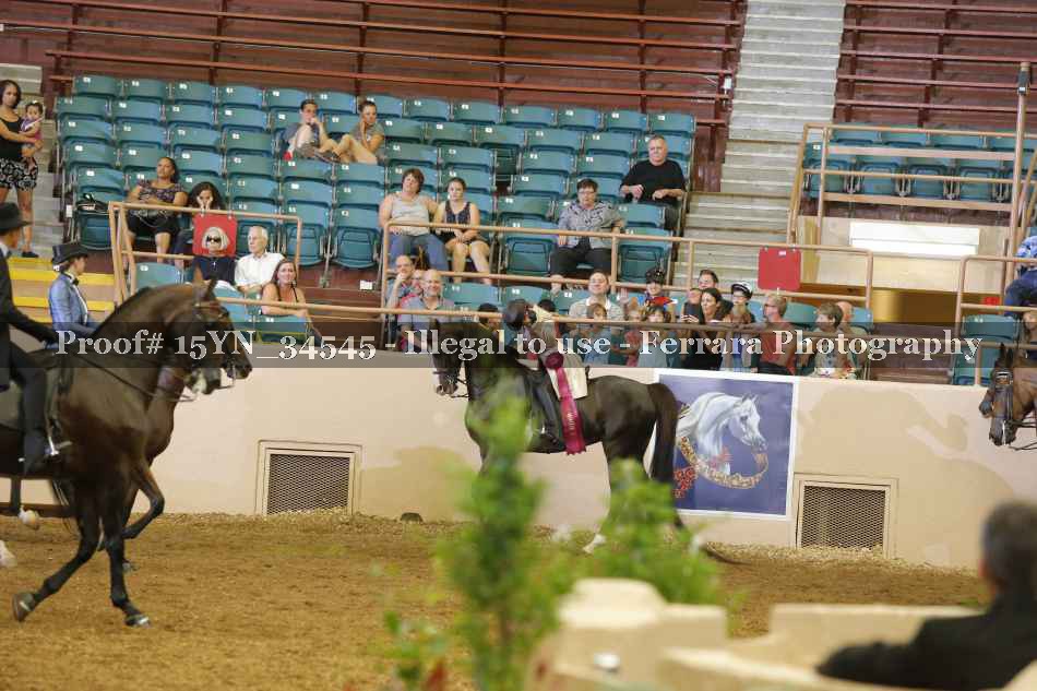 Proof Number 15YN_34545
