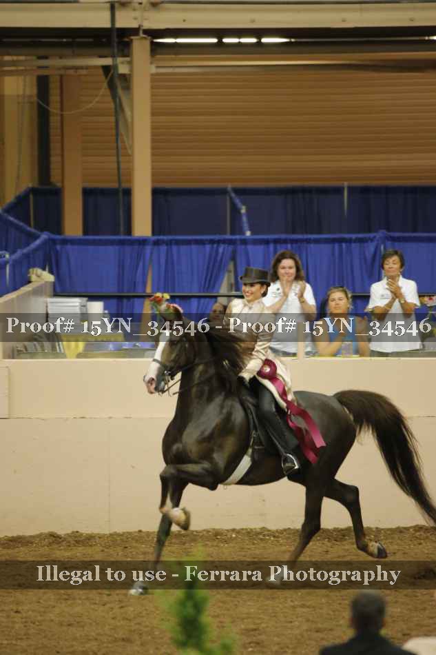 Proof Number 15YN_34546