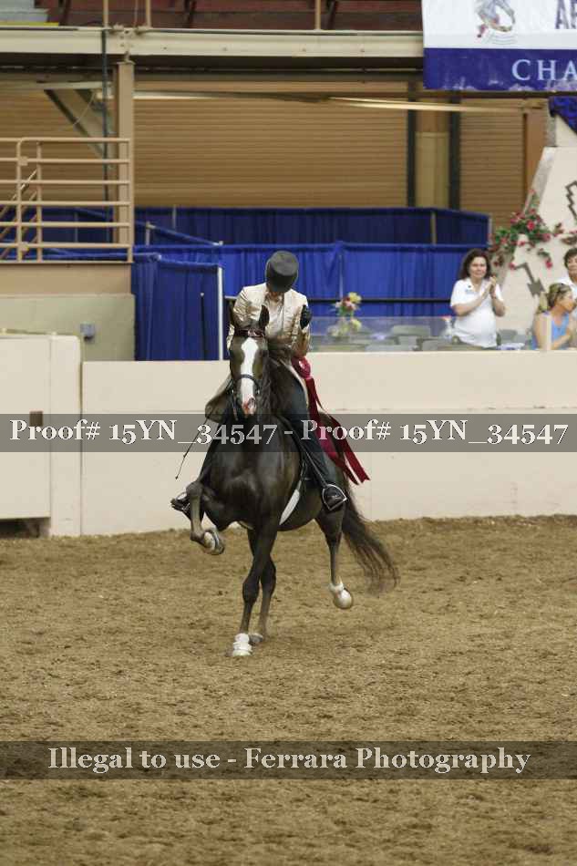 Proof Number 15YN_34547