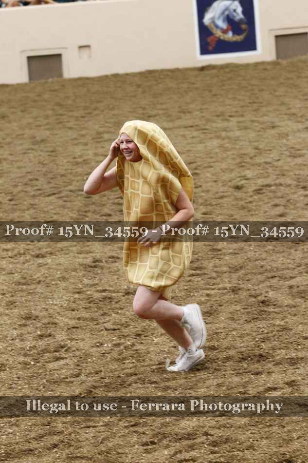 Proof Number 15YN_34559