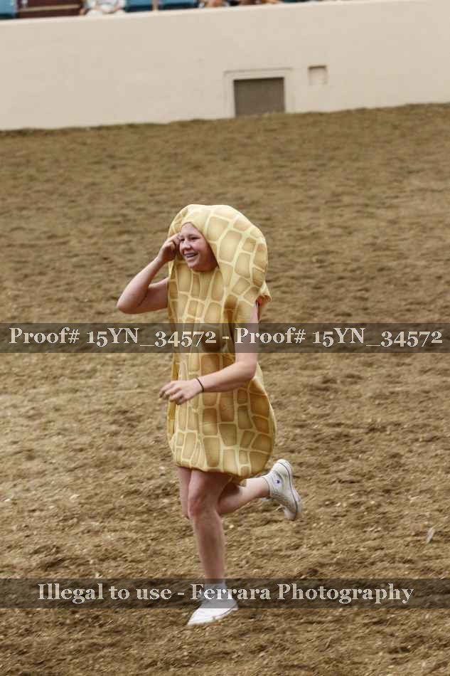 Proof Number 15YN_34572