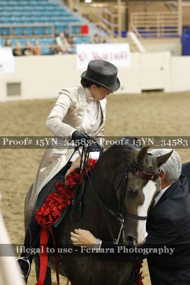 Proof Number 15YN_34583
