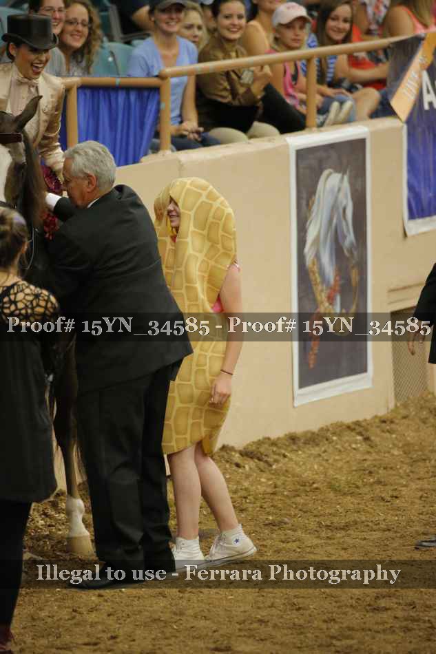 Proof Number 15YN_34585