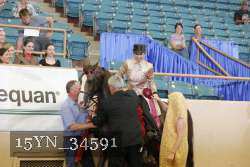 15YN_34591 thumbnail