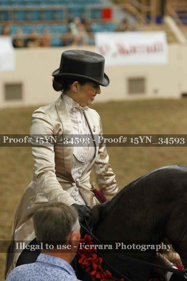 Proof Number 15YN_34593