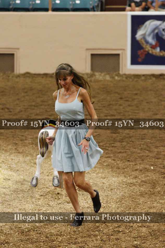 Proof Number 15YN_34603