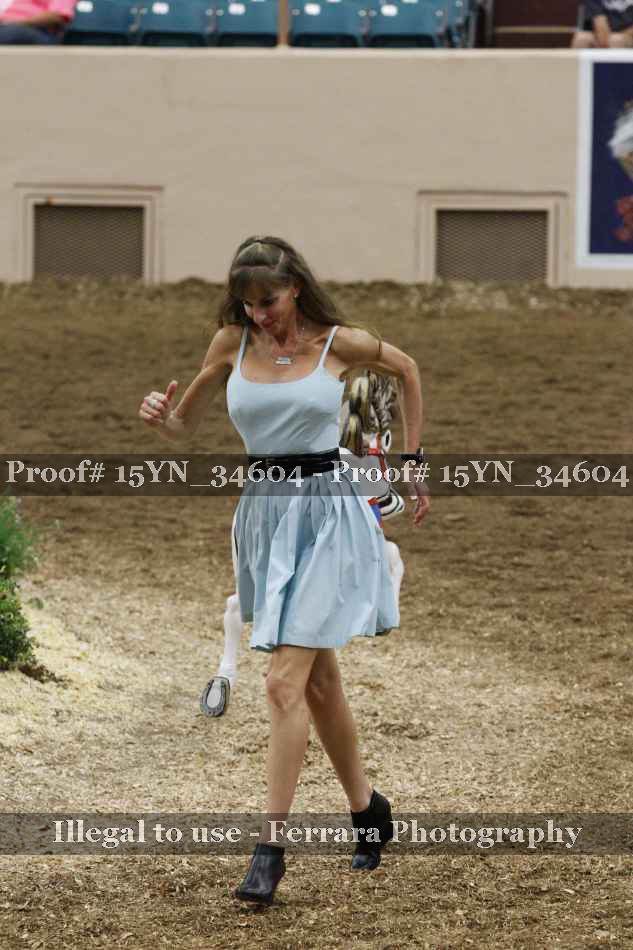 Proof Number 15YN_34604