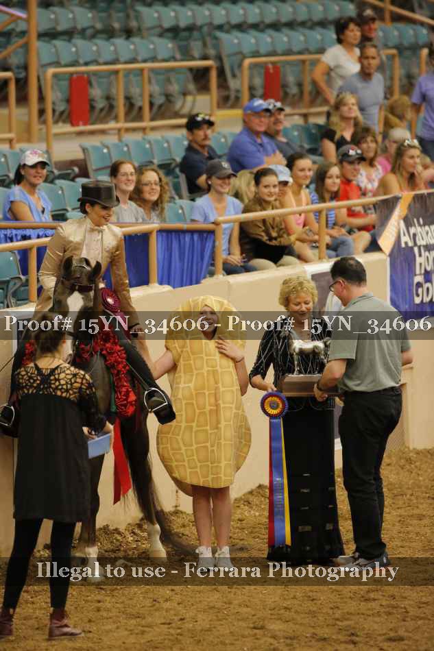 Proof Number 15YN_34606