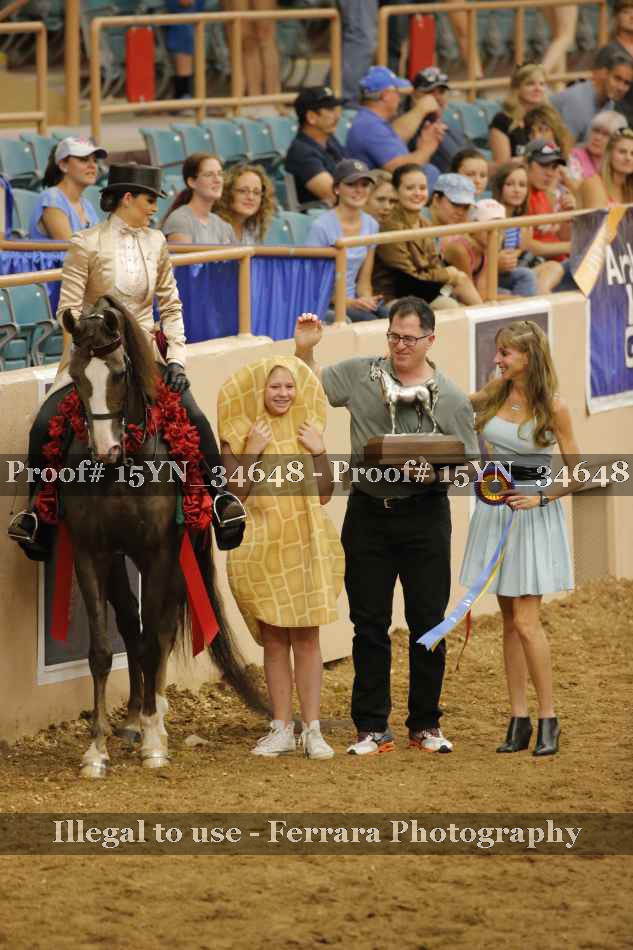 Proof Number 15YN_34648
