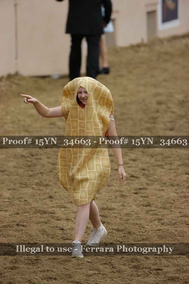 Proof Number 15YN_34663