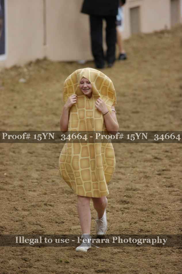 Proof Number 15YN_34664