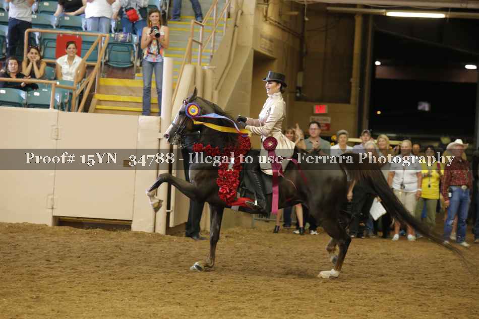 Proof Number 15YN_34788