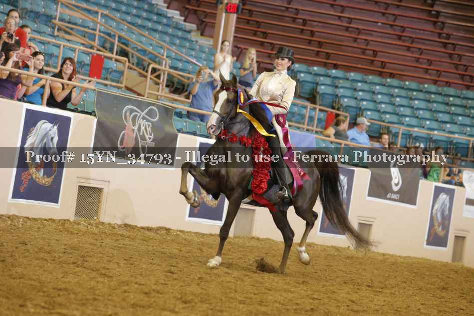 Proof Number 15YN_34793
