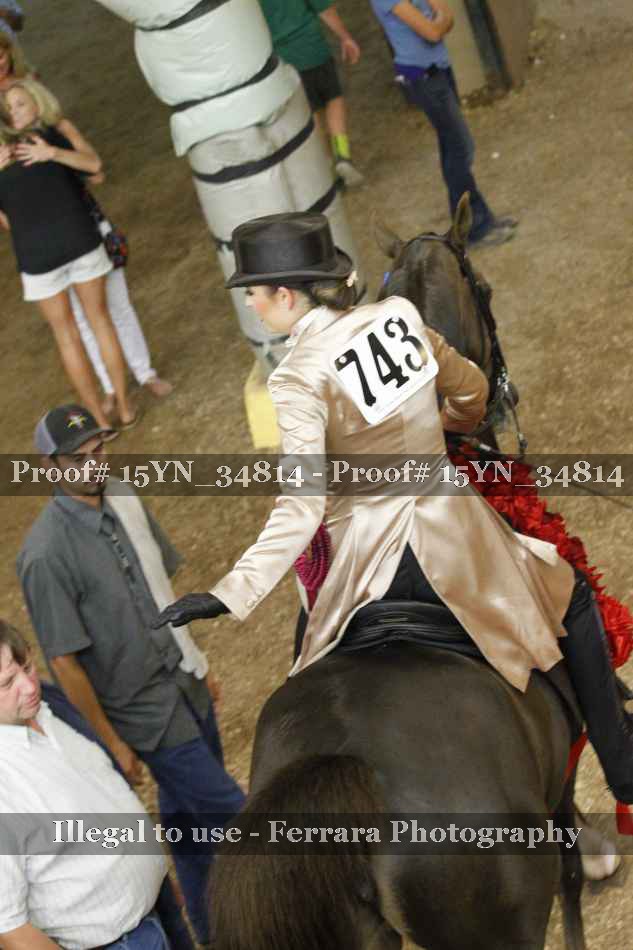 Proof Number 15YN_34814