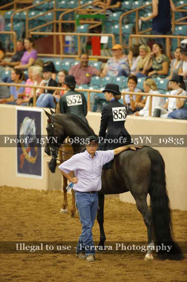 Proof Number 15YN_19835