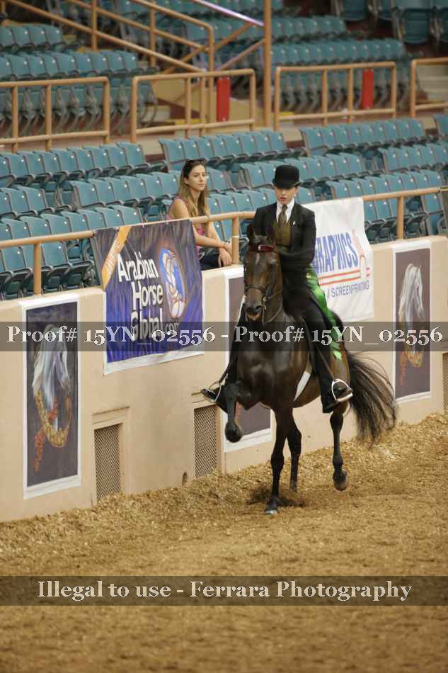 Proof Number 15YN_02556