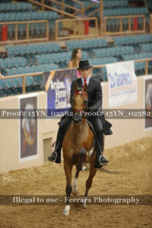 Proof Number 15YN_02582