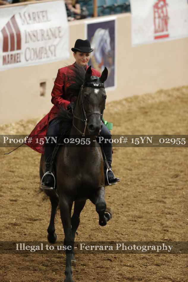 Proof Number 15YN_02955