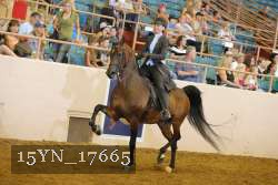 15YN_17665 thumbnail