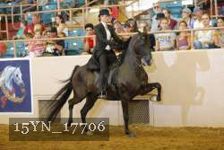 15YN_17706 thumbnail