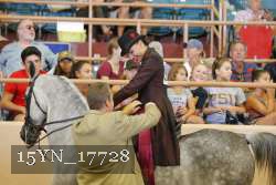 15YN_17728 thumbnail