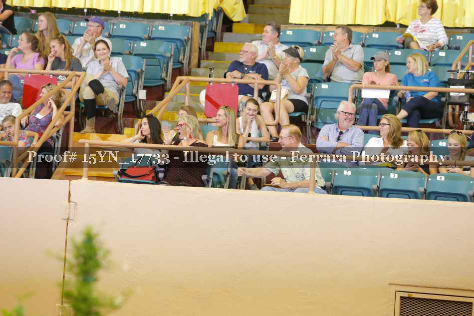 Proof Number 15YN_17733