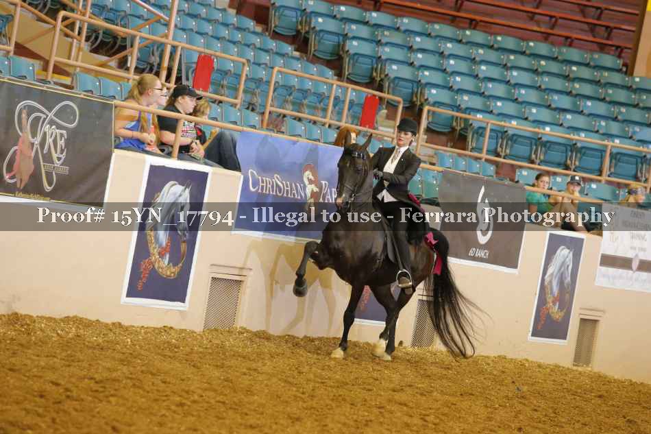 Proof Number 15YN_17794