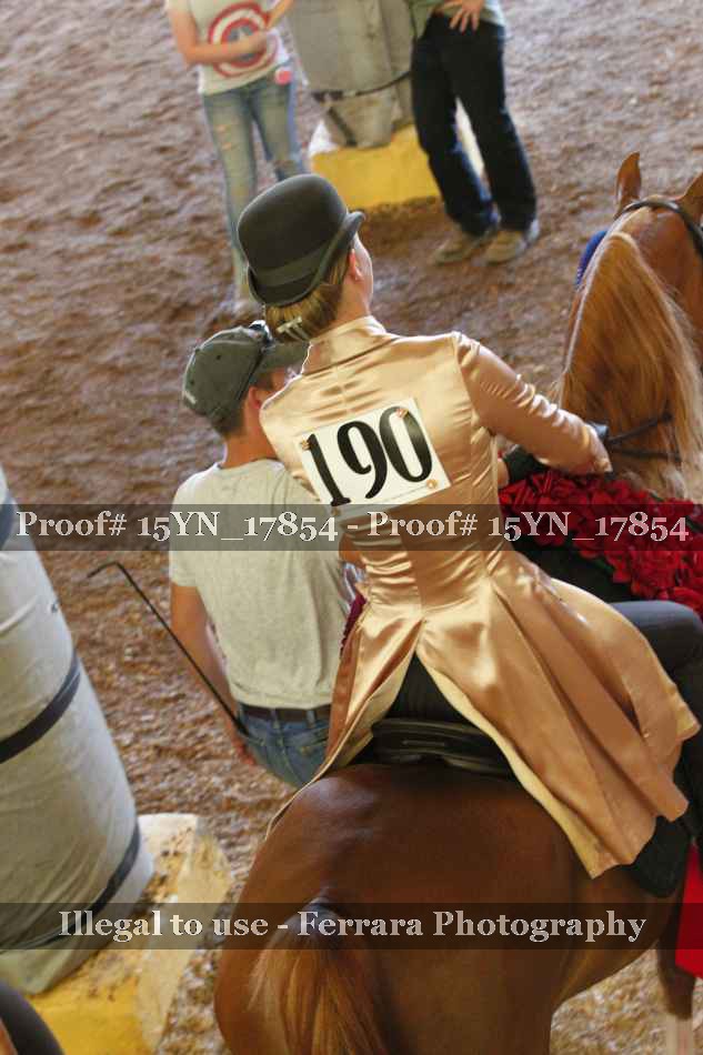 Proof Number 15YN_17854
