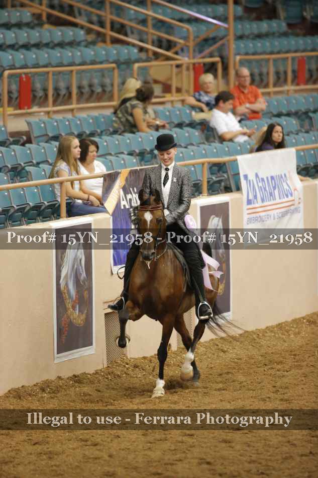 Proof Number 15YN_21958