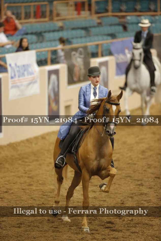 Proof Number 15YN_21984