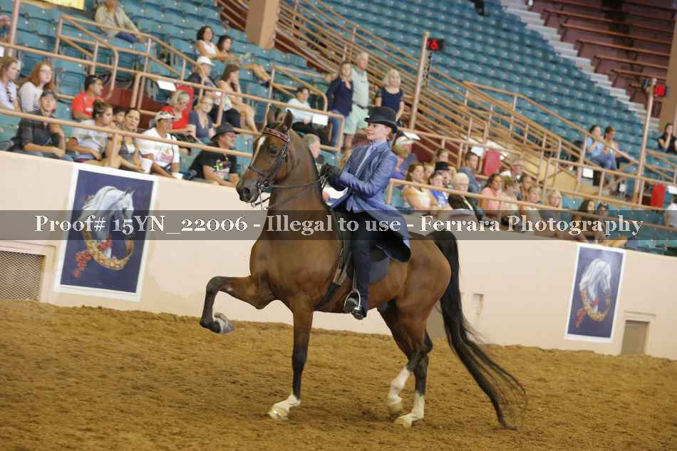 Proof Number 15YN_22006
