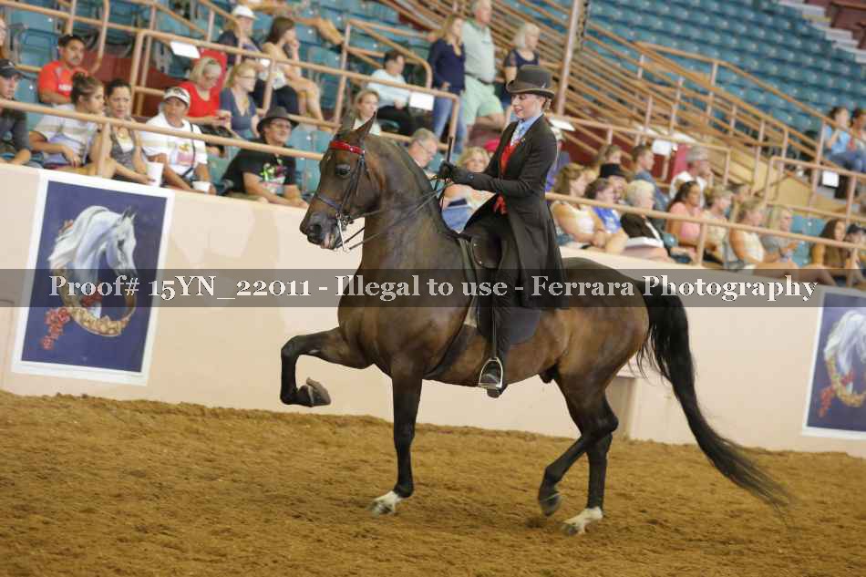 Proof Number 15YN_22011