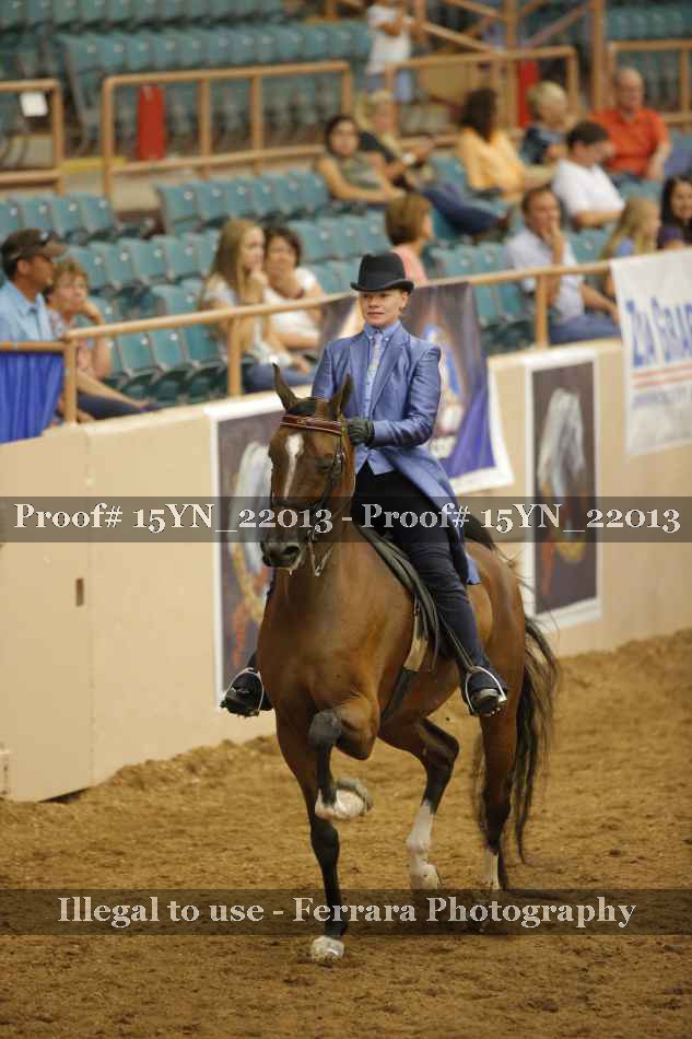 Proof Number 15YN_22013
