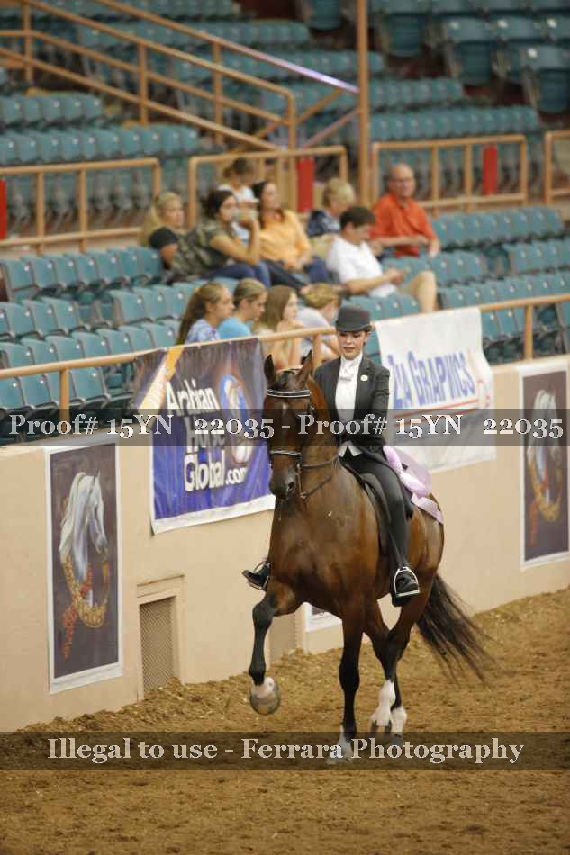 Proof Number 15YN_22035