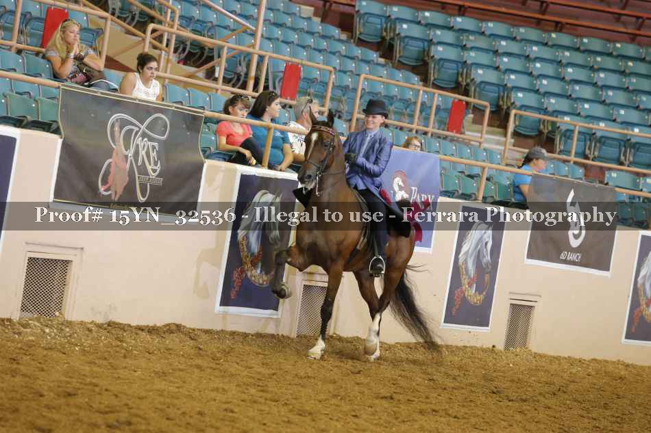 Proof Number 15YN_32536