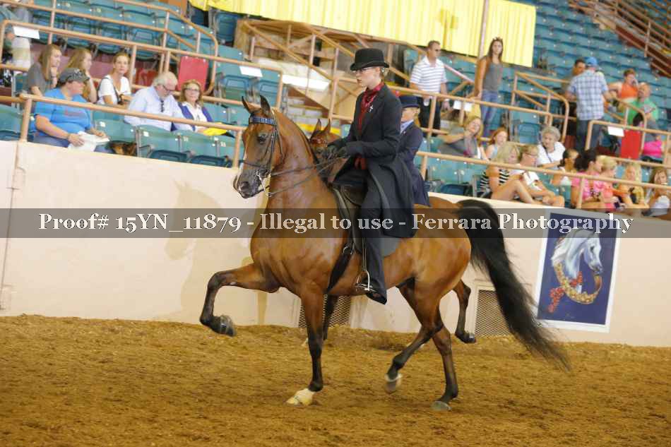 Proof Number 15YN_11879